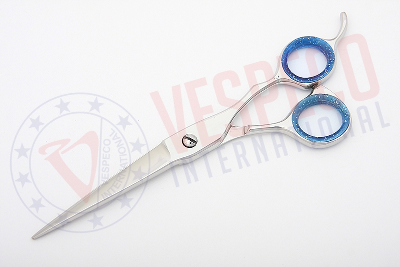 Professional Hairdressing Scissors